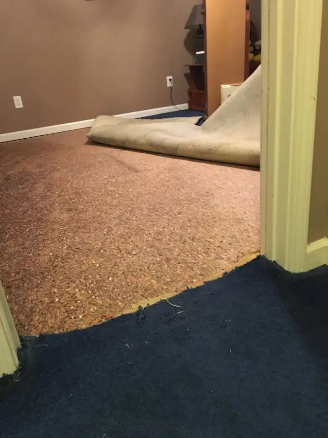 Carpet pad removal revealing water damage during Water Mitigation Services in Loveland