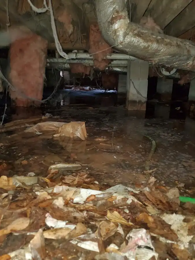 Crawl space flood assessment for Leak Detection & Repair in Loveland