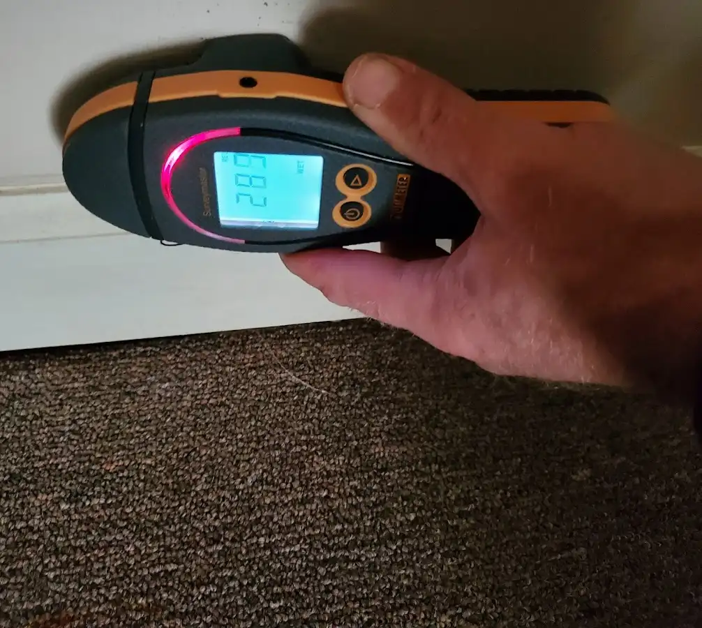 Moisture detection at baseboard during Sewage Cleanup & Sanitation in Loveland